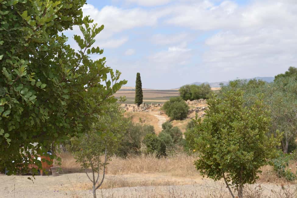 billede nr.18 af aktiviteten Dagstur fra Fes til Volubilis via Meknes og Moulay Idriss i Meknès, uploadet af udbyder