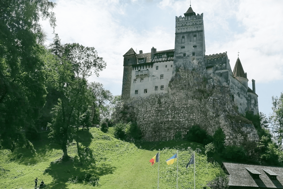 image n.5 of Legends&Wildlife Awaits: Dracula's Castle & Bear Sanctuary activity in Brasov, uploaded by supplier