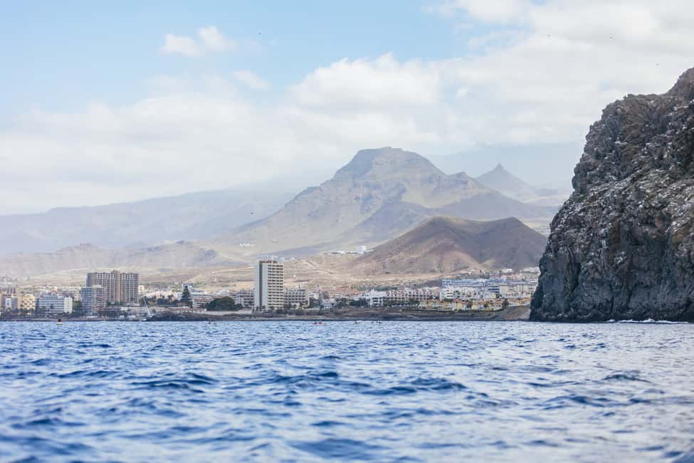 image n.20 of Tenerife: Kayak Safari and Sea Turtle Snorkeling with Photos activity in Arona, Tenerife, uploaded by supplier