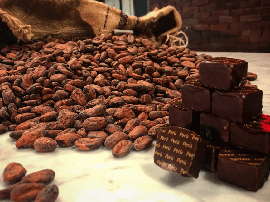 billede nr.8 af aktiviteten Rundvisning og smagning på chokoladefabrikken nær Alessandria i Novi Ligure, uploadet af udbyder