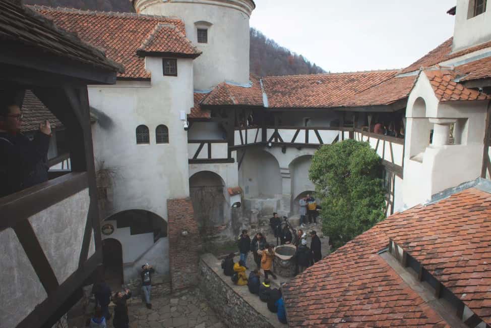 image n.17 of Legends&Wildlife Awaits: Dracula's Castle & Bear Sanctuary activity in Brasov, uploaded by supplier
