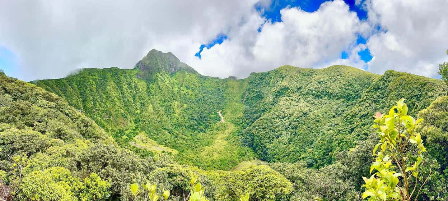 image n.18 of Hike St. Kitts: Highest peak Mount Liamuiga Volcano activity in Nevis, uploaded by supplier