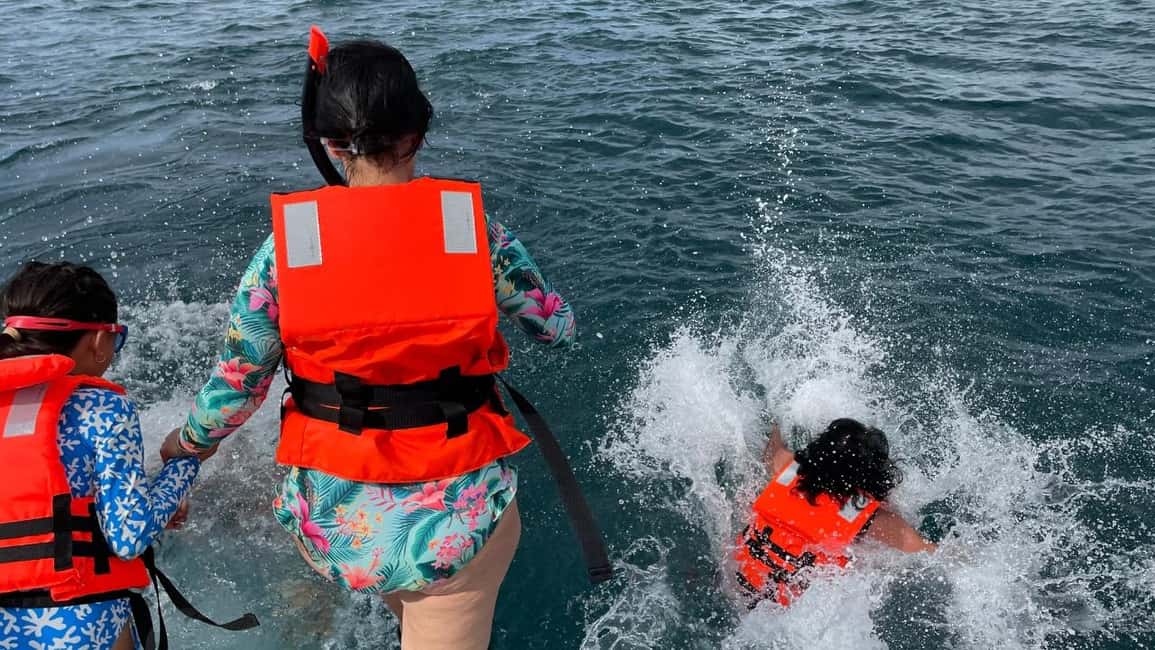 image n.15 of La Paz: Day Cruise & Snorkelling (w/sea lions) Food & Drinks activity in Baja California Sur, uploaded by supplier