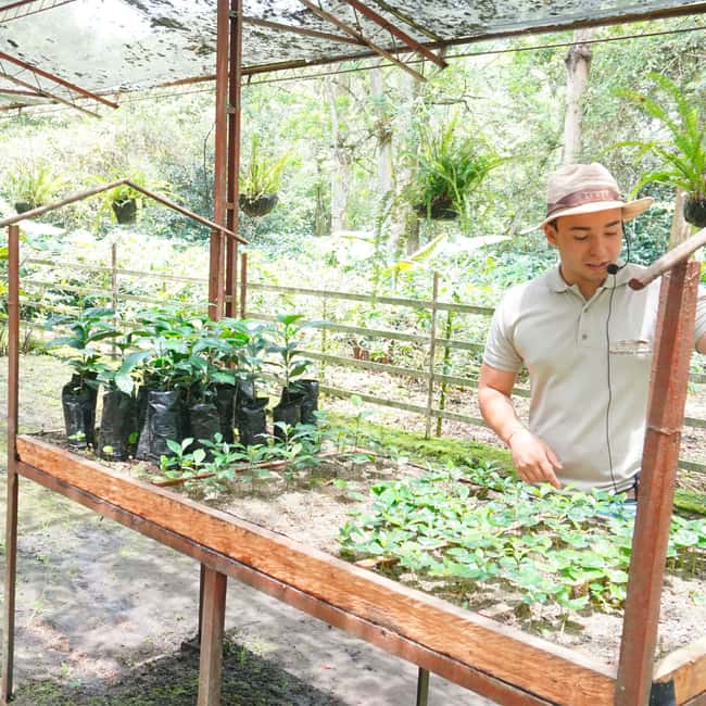 image n.2 of From Bogotá: Coffee Farm and Tequendama Falls Tour activity in Cundinamarca, uploaded by supplier