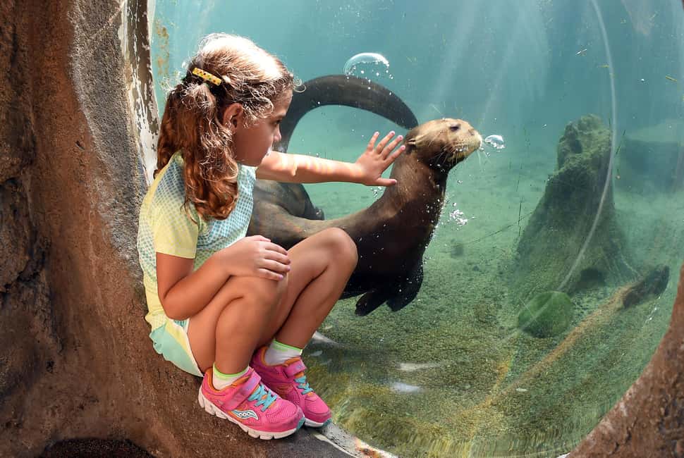 image n.5 of Miami: Go City All-Inclusive Pass with 30+ Attractions activity in Miami, uploaded by supplier