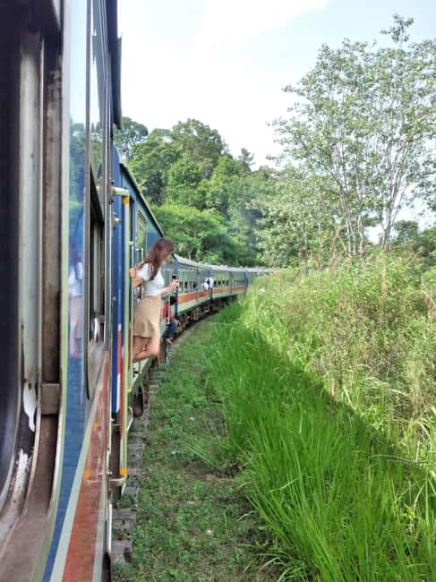 From Ella: Ella Unfogettable Day tour & Train Ride Tour | GetYourGuide