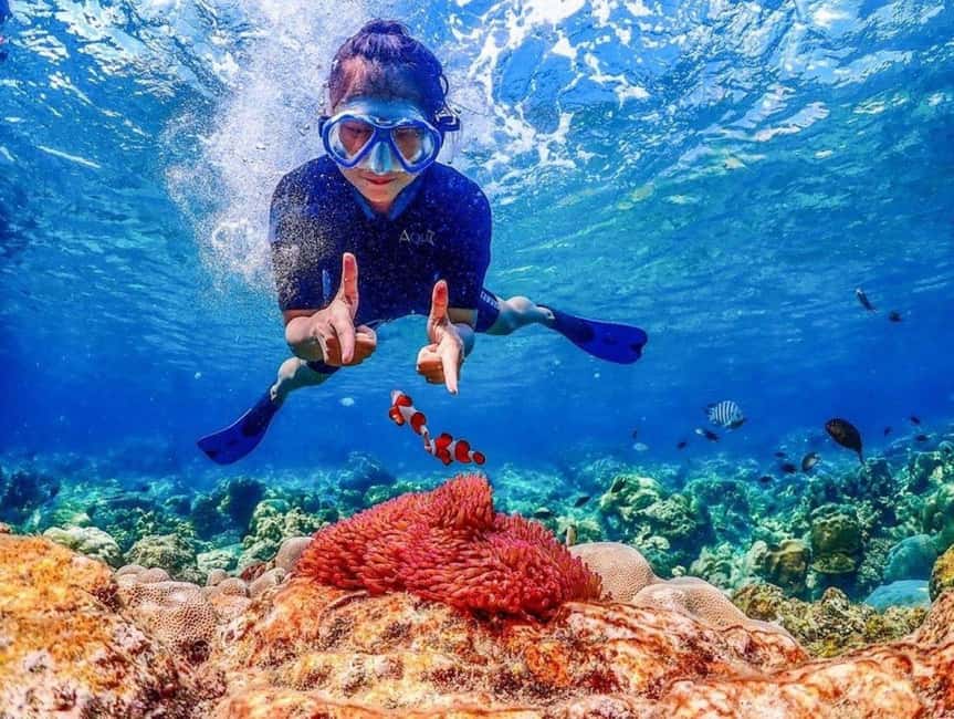 imagen n.º 15 de Bangkok: Excursión de un día a la Isla de Nemo con fotos de drones y almuerzo actividad en Pattaya, subida por el proveedor