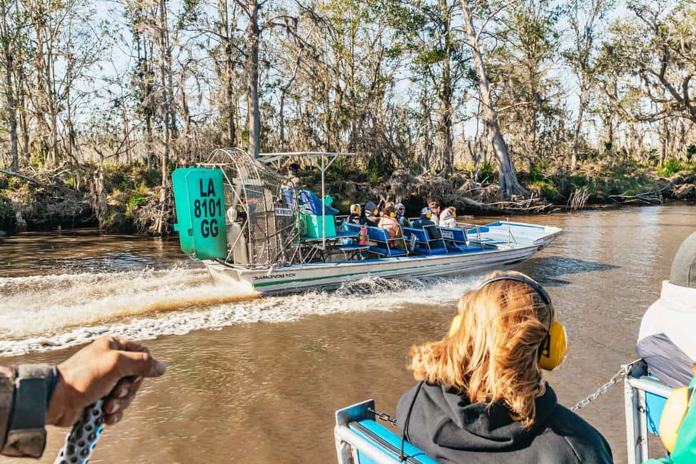 image n.3 of New Orleans: Oak Alley Plantation & Airboat Swamp Combo Tour activity in Vacherie, uploaded by supplier