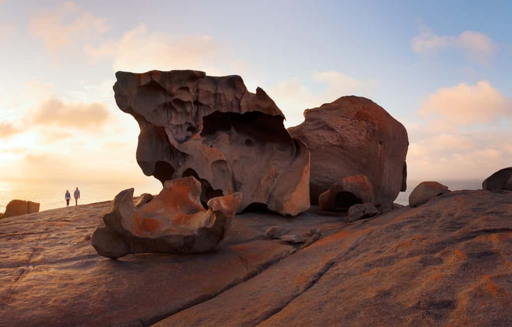 image n.5 of Kangaroo Island: Scenic, Nature & Wildlife Tour activity in South Australia, uploaded by supplier