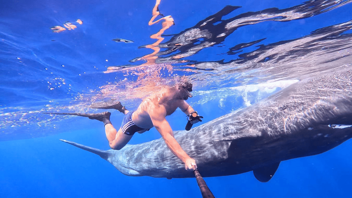 image n.13 of Whale & Dolphins Swimming - Private Speedboat Exclusive Tour activity in Mauritius, uploaded by supplier