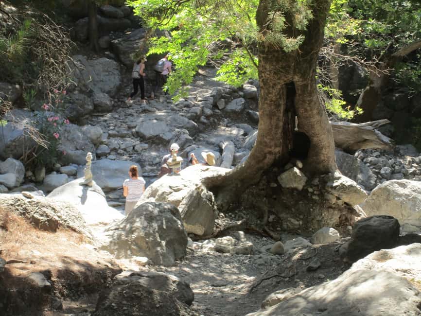 Immagine nº 45 di Da Rethymno: trekking di un giorno intero alle gole di Samaria, prelievo e guida attività a Rethymno, caricata dal fornitore