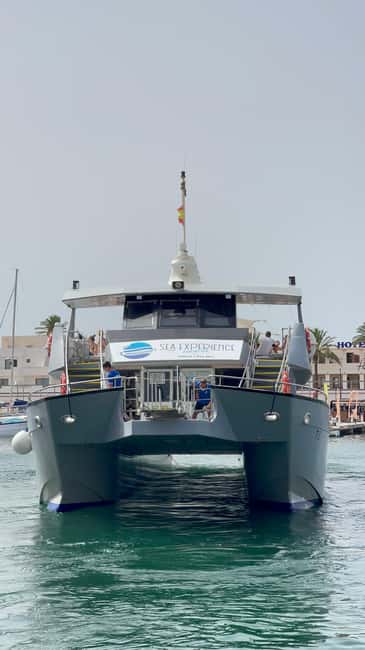 image n.17 of Ibiza: Platja d'en Bossa Round-Trip Transfer to Formentera activity in Ibiza Town, uploaded by supplier
