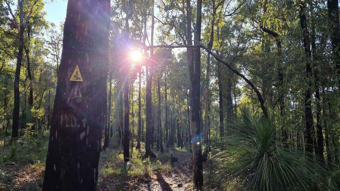 image n.5 of Perth: Hike & Meditation with Morning Tea activity in Perth, uploaded by supplier