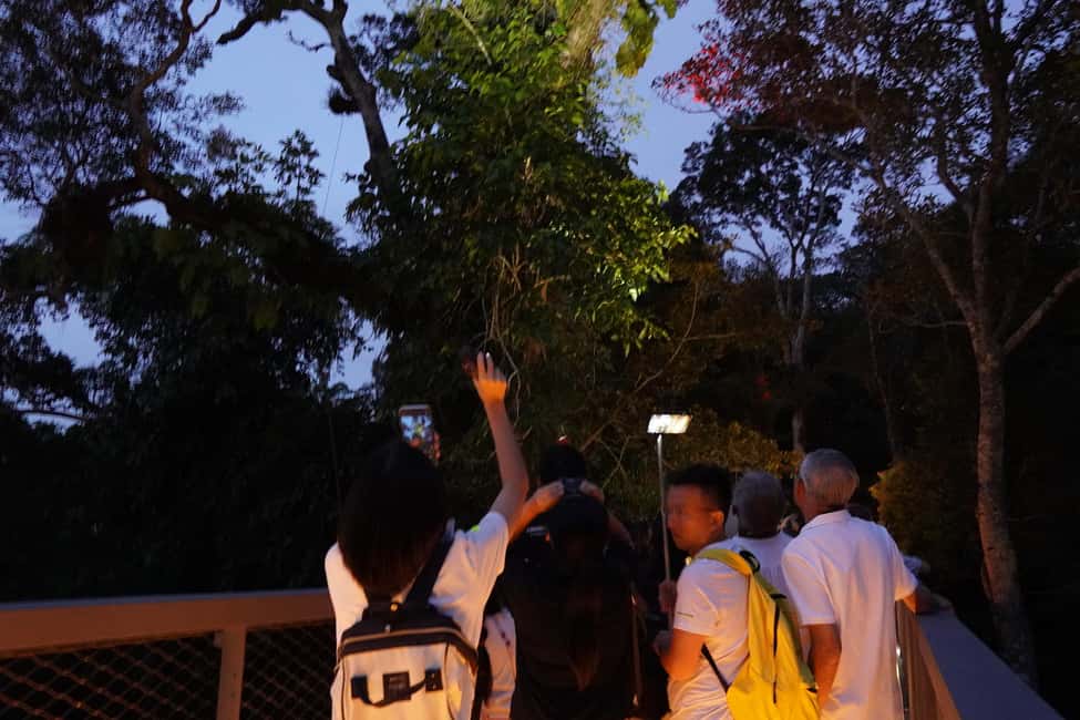 image n.14 of Penang: The Habitat Penang Hill Entry Ticket activity in George Town, Malaysia, uploaded by supplier