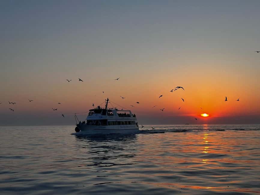 Bild Nr. 53 von Pula: Delfinbeobachtung & Sonnenuntergangskreuzfahrt mit Abendessen & Getränken Aktivität in Pula, Kroatien, hochgeladen vom Anbieter