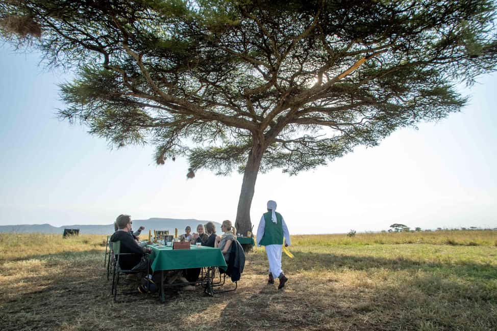 Image N°16 de Parc national du Serengeti : Safari en montgolfière à l'aube activité à Région de Mara, publiée par le prestataire