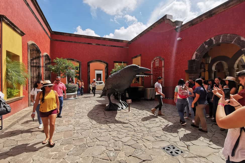 image n.2 of From Guadalajara: La Rojeña Distillery & Jose Cuervo Train activity in Tequila, uploaded by supplier