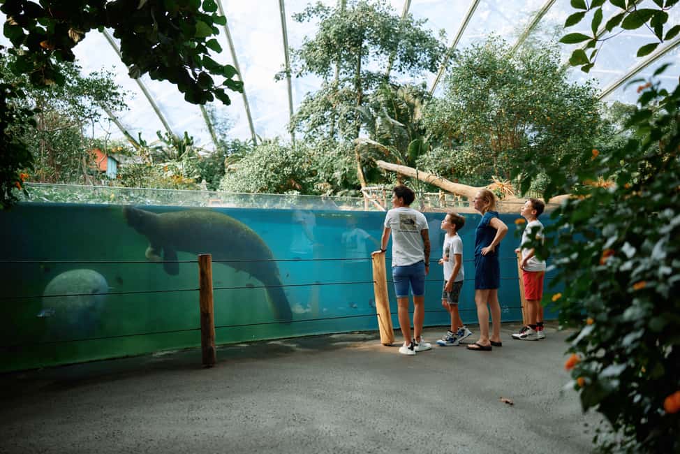 bilde nr.2 av Arnhem: Inngangsbillett til Burgers' Zoo aktivitet i Arnhem, lastet opp av leverandør