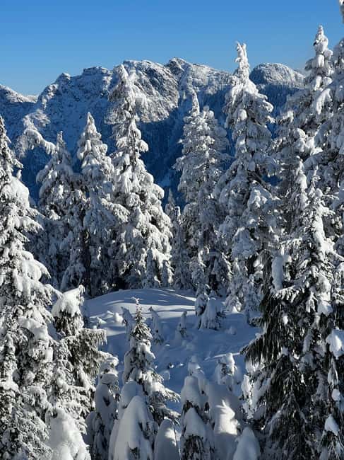 image n.9 of Vancouver: North Shore Mountains Snowshoeing with Transfer activity in West Vancouver, uploaded by supplier