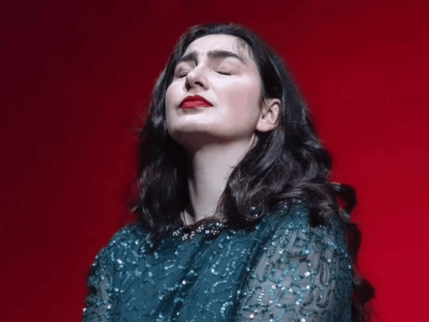 Immagine nº 3 di Concerto d'opera nel Palazzo di Verona con Prosecco attività a Verona, caricata dal fornitore
