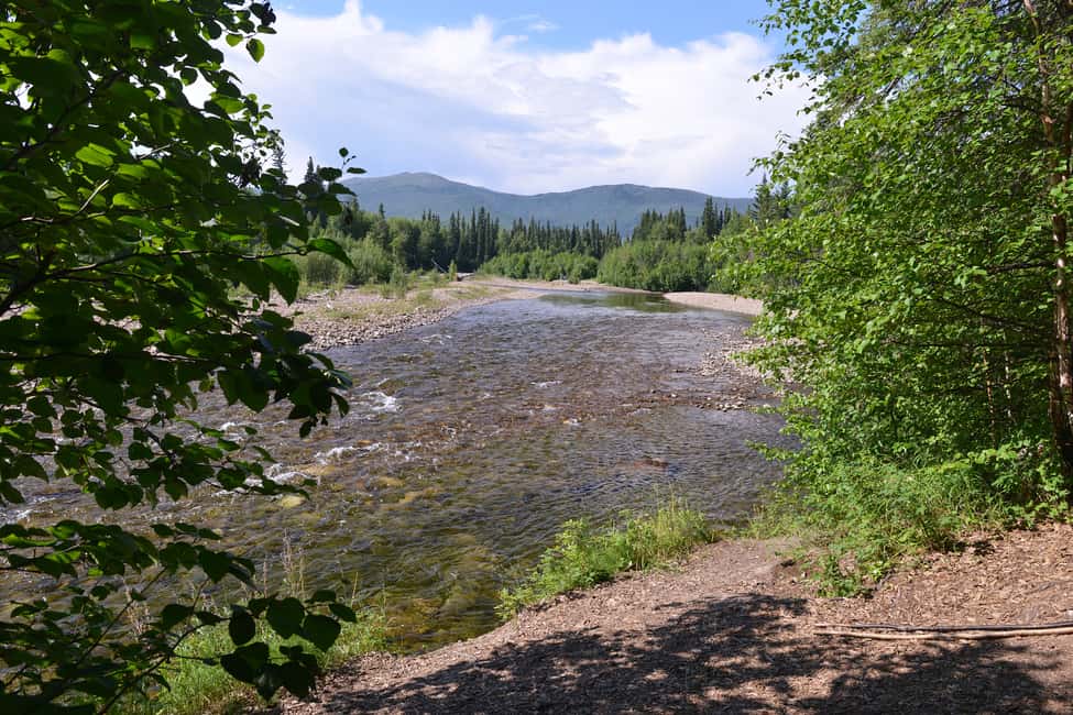 image n.2 of Full Day Ice Museum and Chena Hot Springs Tour activity in Fairbanks, uploaded by supplier