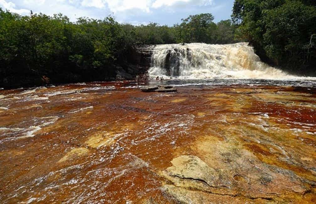 imagen n.º 3 de Manaos: Excursión de un día a las Cataratas del Amazonas con almuerzo actividad en Presidente Figueiredo, subida por el proveedor