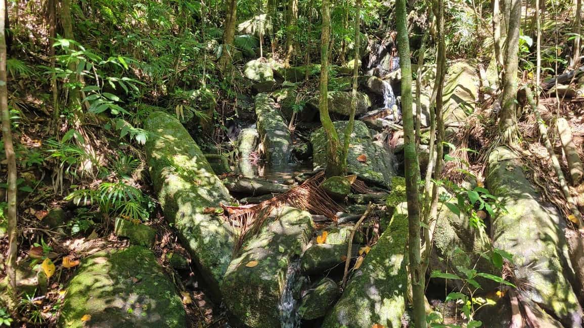 image n.11 of Florianopolis: Lagoinha do Leste Natural Park Hike activity in South Region, Brazil, uploaded by supplier