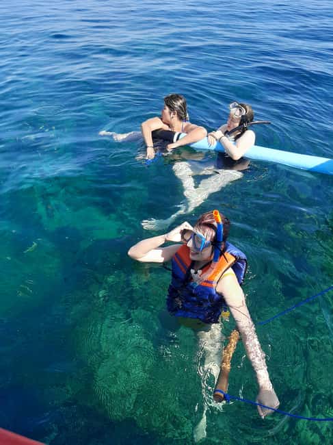 image n.7 of Bali dolphin, swim & snorkeling in Lovina Bali activity in Lovina, uploaded by supplier