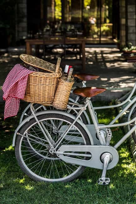 imagem n.5 de Passeio de bicicleta em Zuccardi: Azeite, prova de vinhos e almoço atividade em Mendoza, carregada pelo fornecedor