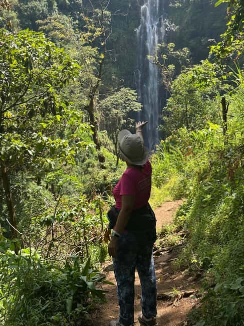image n.20 of Arusha: Day Trip City,Materuni Waterfall,Coffee & Hot Spring activity in Moshi, uploaded by supplier