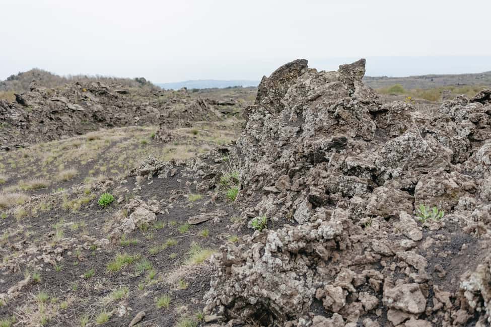 Immagine nº 24 di Catania: Gita di un giorno sull'Etna al mattino o al tramonto con degustazione attività a Catania, caricata dal fornitore