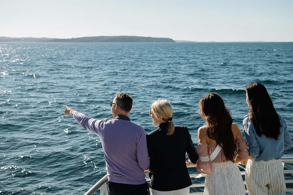 image n.4 of Sydney: Whale Watching Cruise & Wildlife Experience activity in Sydney, uploaded by supplier