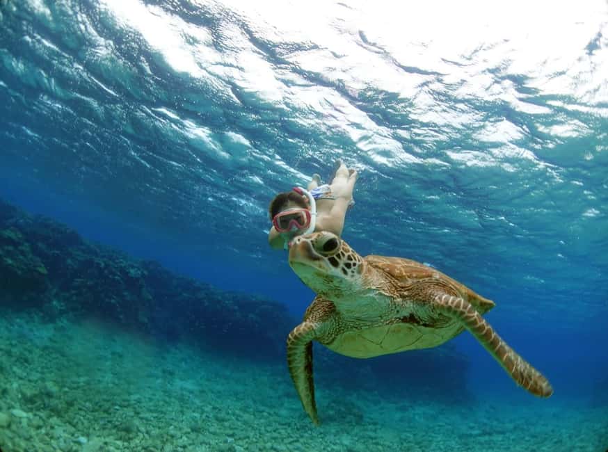 image n.10 of Kerama Half-Day Catamaran Snorkeling Tour activity in Okinawa, uploaded by supplier