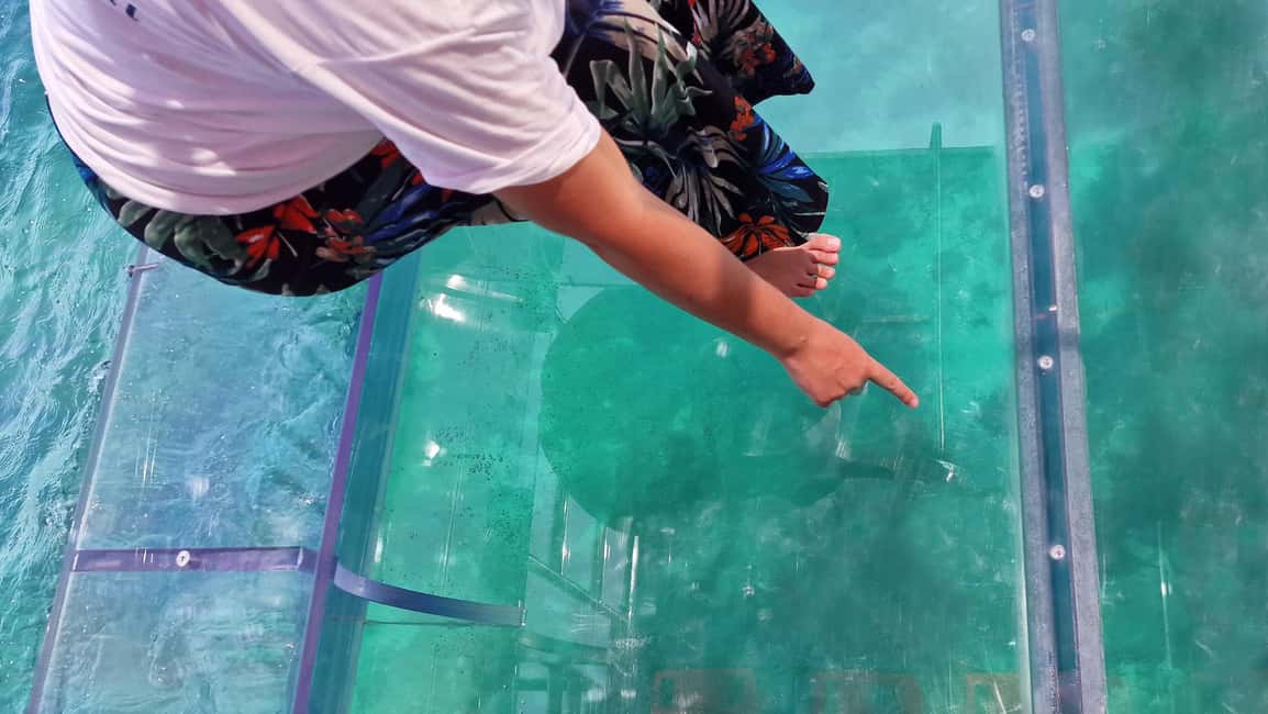 image n.18 of Syracuse: Coast and Sea Caves Full Transparent Boat Tour activity in Syracuse, uploaded by supplier