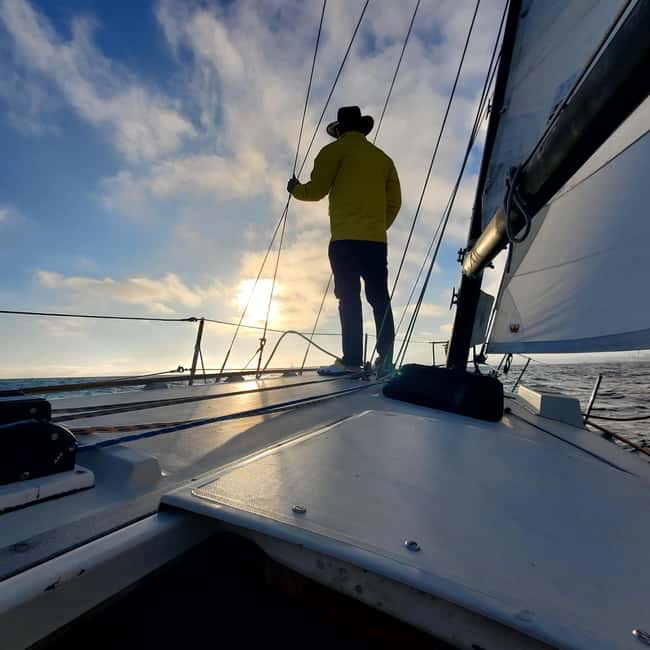 billede nr.15 af aktiviteten Los Angeles: Solnedgangsejlads i Santa Monica, uploadet af udbyder