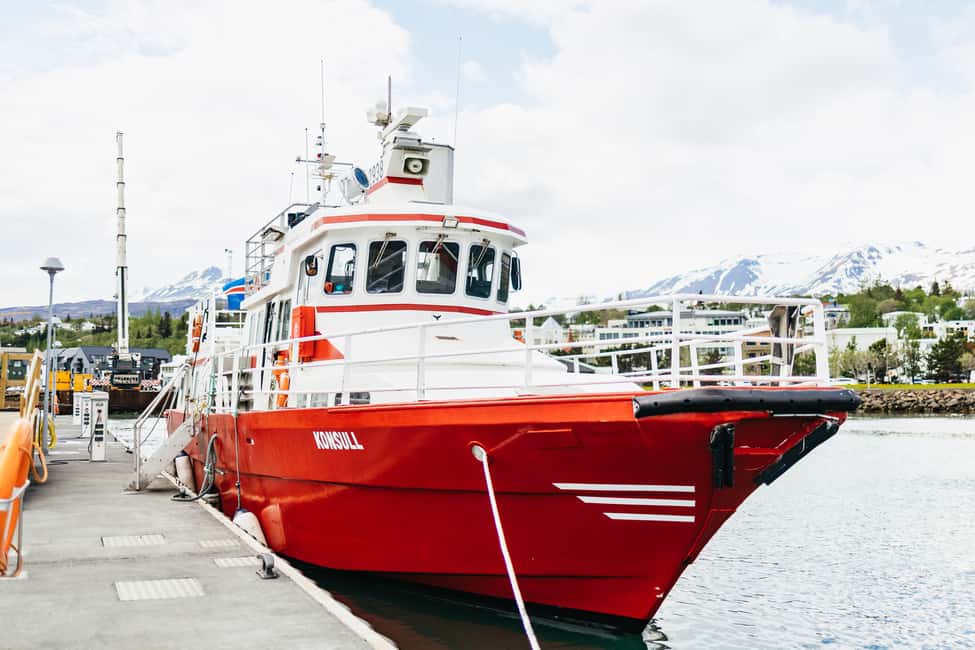 bild nr.19 av Akureyri: 3-timmars klassisk valskådningstur med fartyg aktivitet i Norðurland eystra (Nordöstra regionen), uppladdad av arrangören