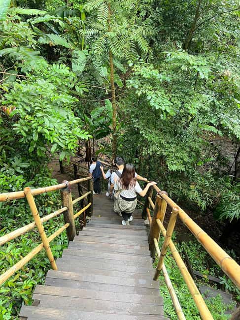 image n.8 of Chiang Mai: Doi Inthanon Park and Pha Dok Siew Trail Trek activity in Chiang Mai, uploaded by supplier