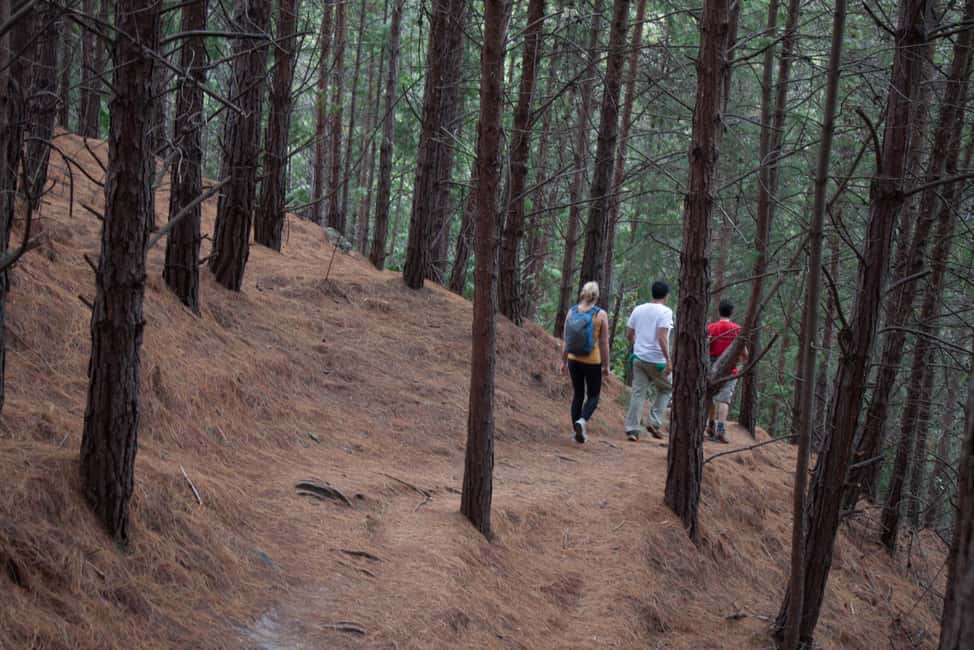 image n.11 of Bogota: East Hills Mountain Hike activity in Bogotá, uploaded by supplier