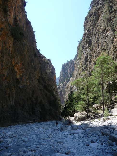 Immagine nº 62 di Da Rethymno: trekking di un giorno intero alle gole di Samaria, prelievo e guida attività a Rethymno, caricata dal fornitore