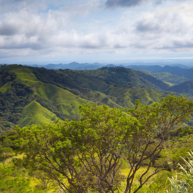 bild nr.5 av Privat transfer San José flygplats till/från Monteverde aktivitet i San José, Costa Rica, uppladdad av arrangören