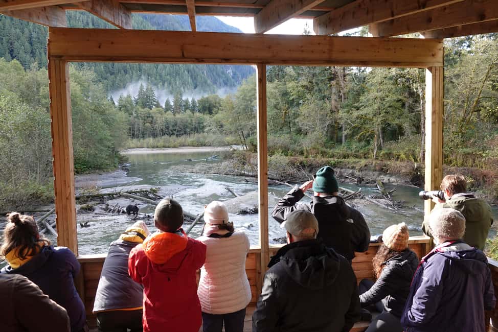 image n.5 of Vancouver Island: Full-Day Grizzly Bear Tour at Toba Inlet activity in British Columbia, uploaded by supplier