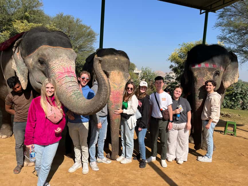 image n.11 of Jaipur: Elephant Interaction Tour activity in Jaipur, uploaded by supplier