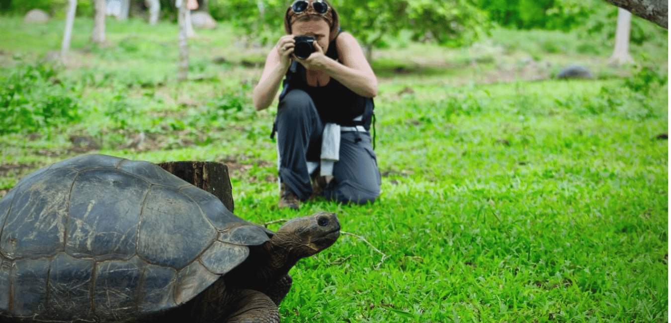 image n.4 of Airport Transfer to Puerto Ayora including a Highlands Tour activity in Galápagos Islands, uploaded by supplier