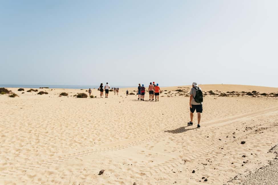 image n.11 of Fuerteventura: Dune Buggy Tour in Northern Fuerteventura activity in Villaverde, uploaded by supplier