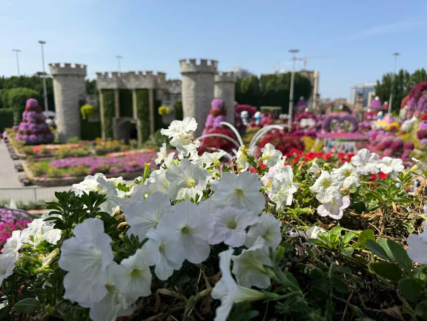 image n.17 of Dubai: Miracle Garden Ticket With Transfer activity in Dubai, uploaded by supplier