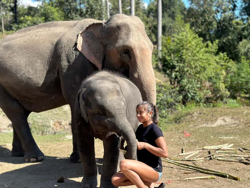 image n.10 of Chiang Mai: Elephant Sanctuary, Waterfall & Bamboo Rafting activity in Chiang Mai, uploaded by supplier