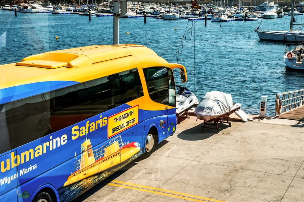 billede nr.6 af aktiviteten Det sydlige Tenerife: 50 minutters ubådsdyk i San Miguel de Abona, uploadet af udbyder