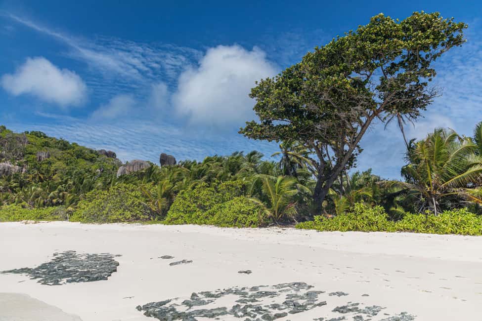image n.40 of Praslin: Sister & Coco Island Full-Day Cruise and Creole BBQ activity in Mahé, uploaded by supplier