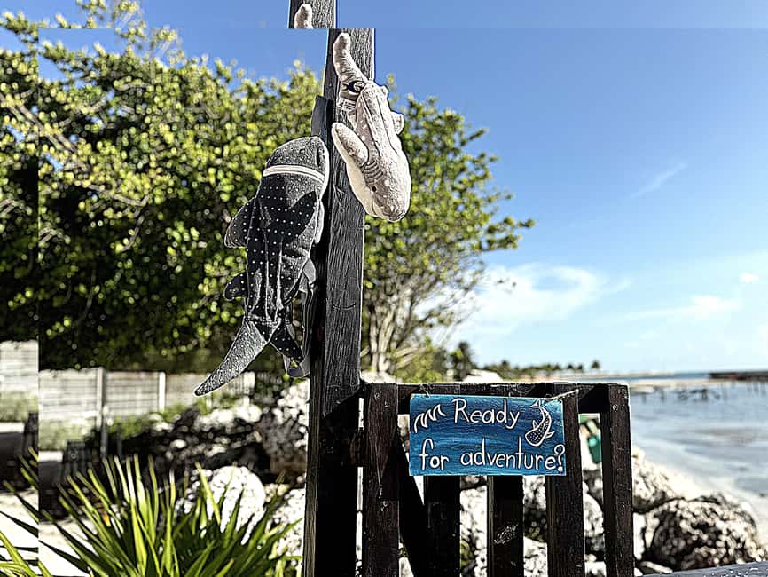 Image N°22 de Catamaran illimité pour Isla Mujeres depuis Playa del carmen activité à Quintana Roo, publiée par le prestataire