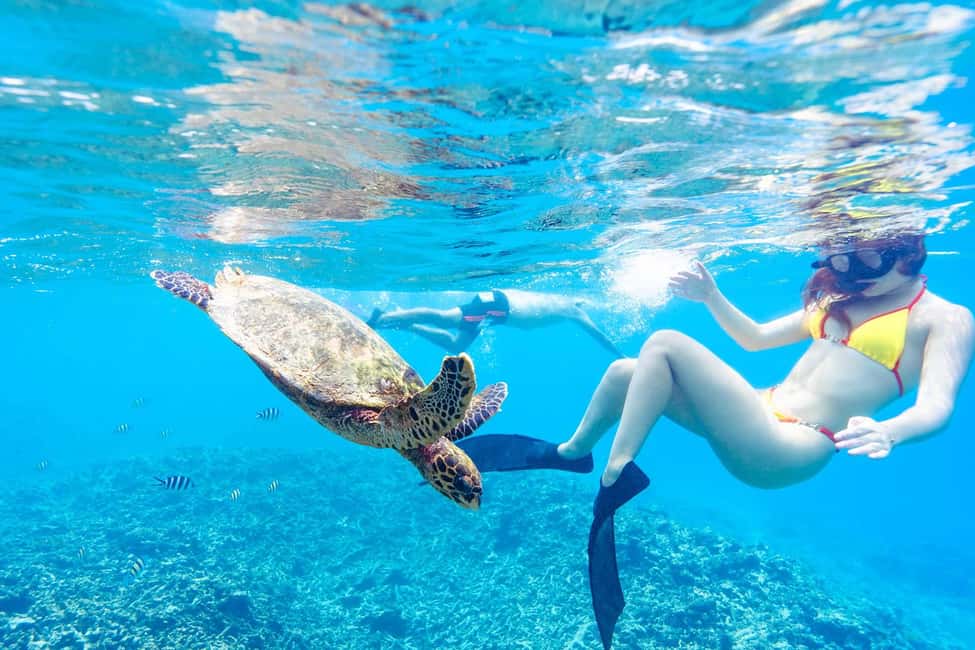 image n.5 of Sister, Coco, and Felicite Island: Seychelles Catamaran Tour activity in Mahé, uploaded by supplier